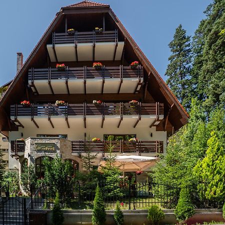 Opus Villa Sinaia Exterior photo The chalet in 2012