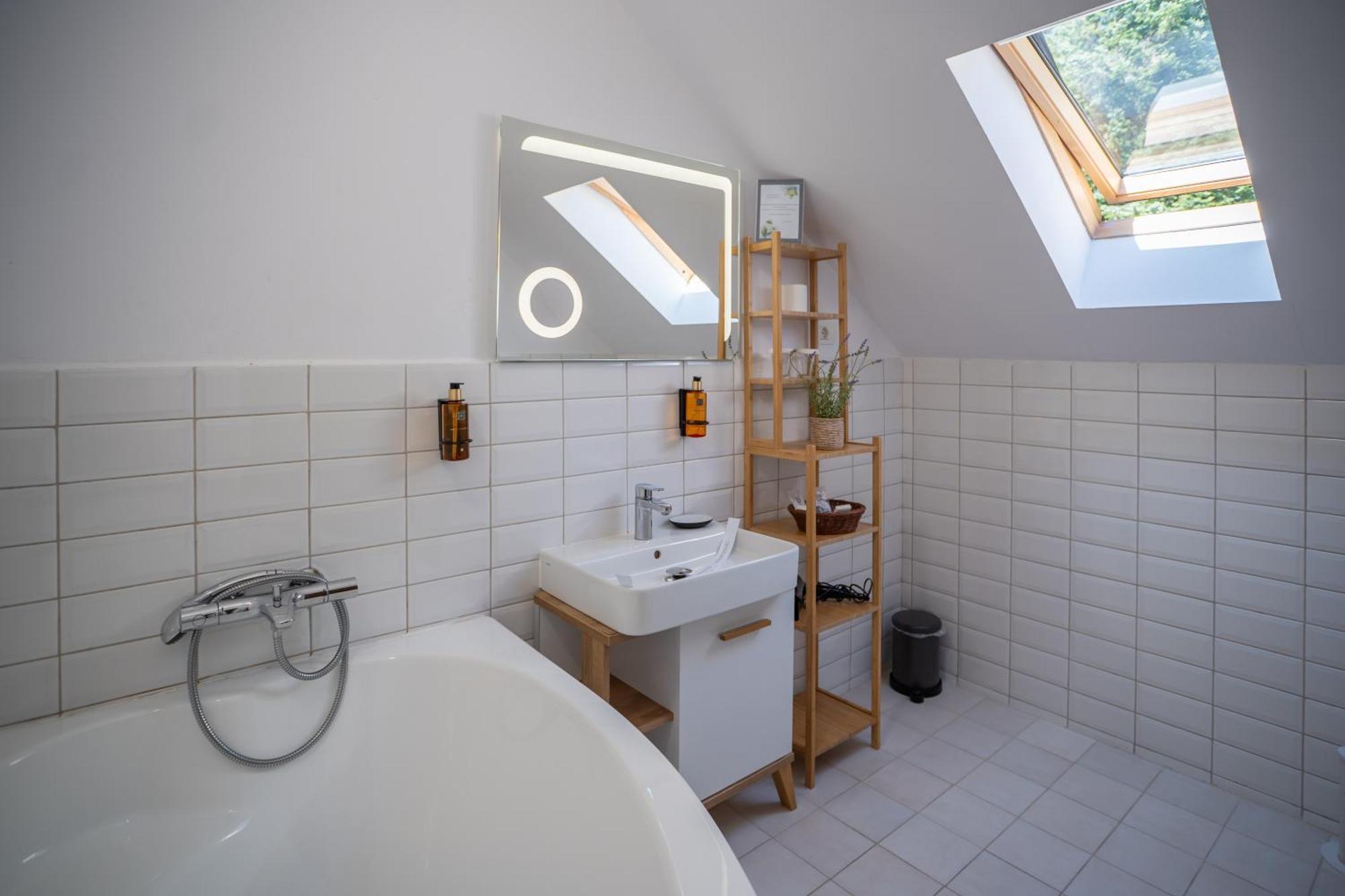 Opus Villa Sinaia Exterior photo Bathroom with a skylight