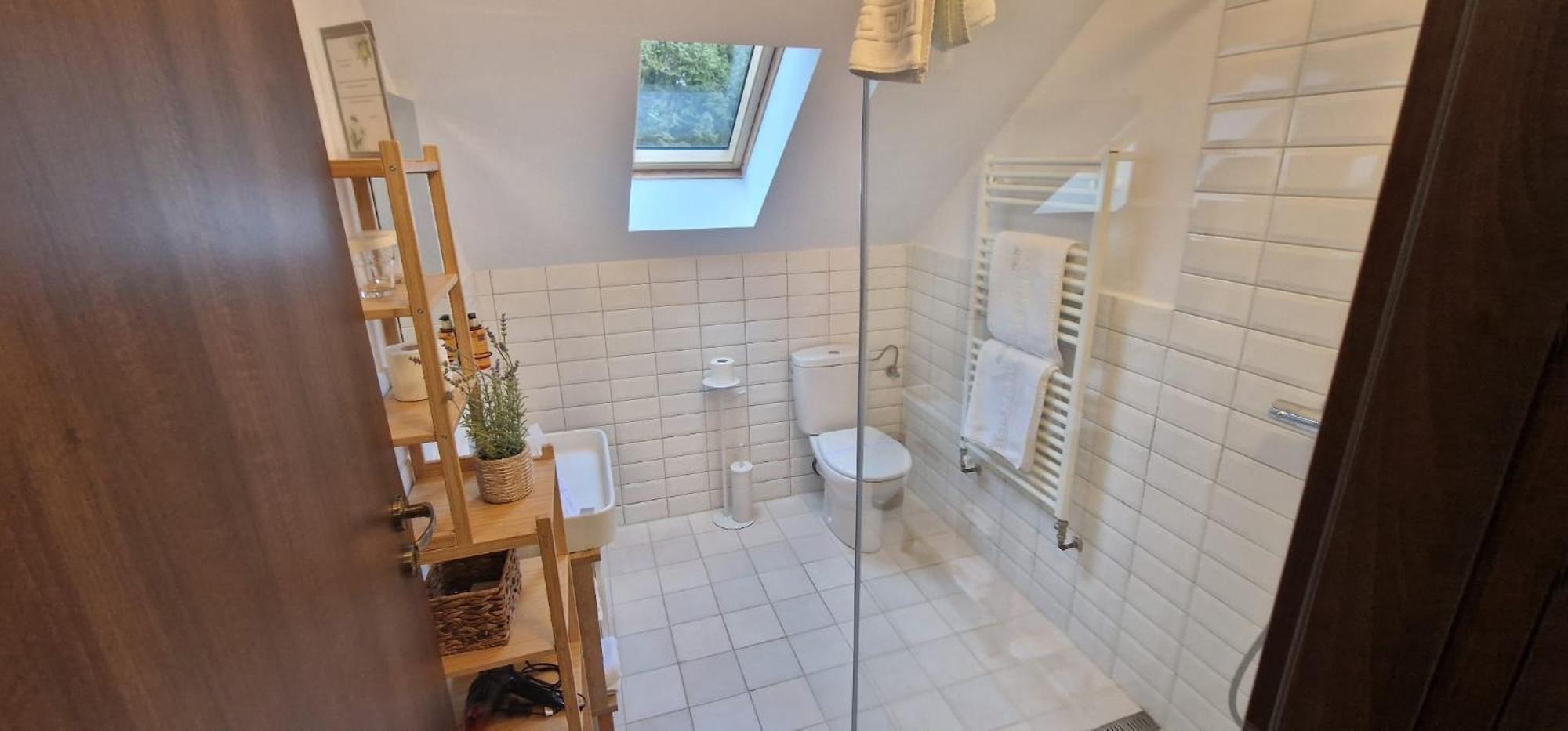 Opus Villa Sinaia Exterior photo Bathroom with a shower